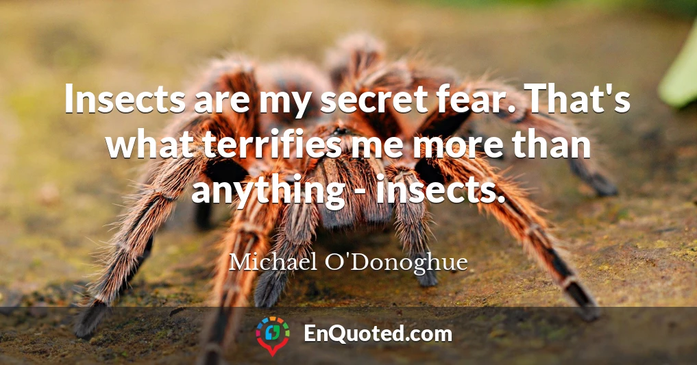 Insects are my secret fear. That's what terrifies me more than anything - insects.