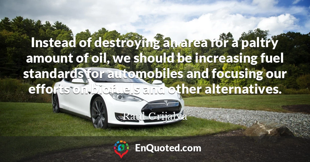 Instead of destroying an area for a paltry amount of oil, we should be increasing fuel standards for automobiles and focusing our efforts on biofuels and other alternatives.