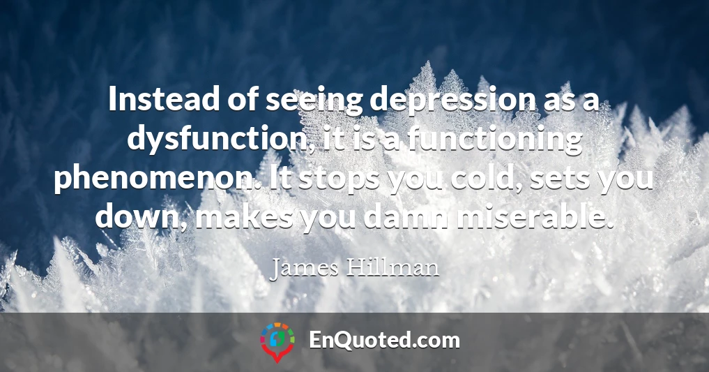 Instead of seeing depression as a dysfunction, it is a functioning phenomenon. It stops you cold, sets you down, makes you damn miserable.