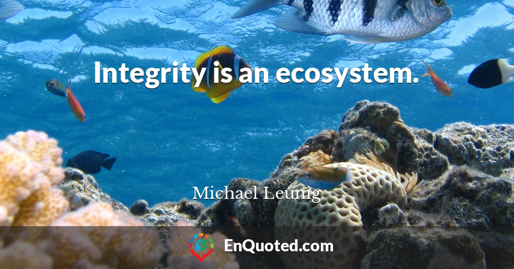 Integrity is an ecosystem.