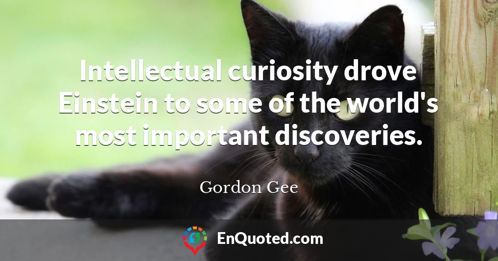 Intellectual curiosity drove Einstein to some of the world's most important discoveries.