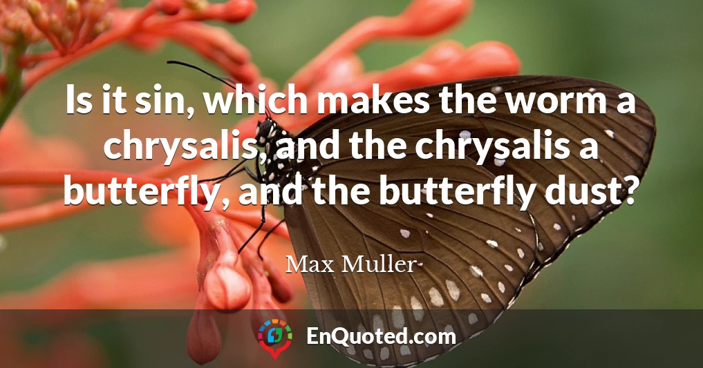 Is it sin, which makes the worm a chrysalis, and the chrysalis a butterfly, and the butterfly dust?