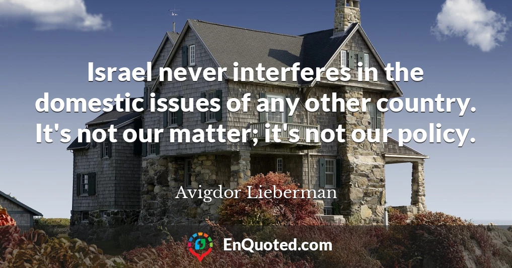 Israel never interferes in the domestic issues of any other country. It's not our matter; it's not our policy.