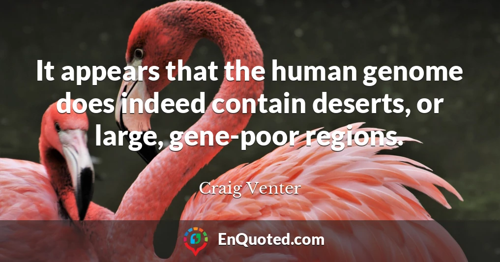 It appears that the human genome does indeed contain deserts, or large, gene-poor regions.