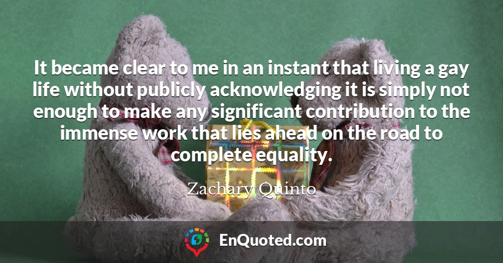 It became clear to me in an instant that living a gay life without publicly acknowledging it is simply not enough to make any significant contribution to the immense work that lies ahead on the road to complete equality.