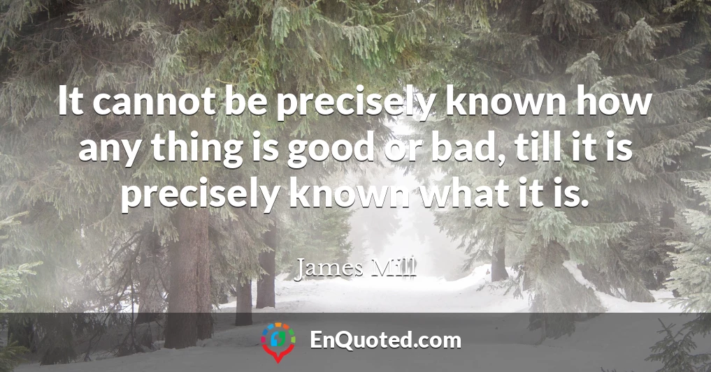 It cannot be precisely known how any thing is good or bad, till it is precisely known what it is.