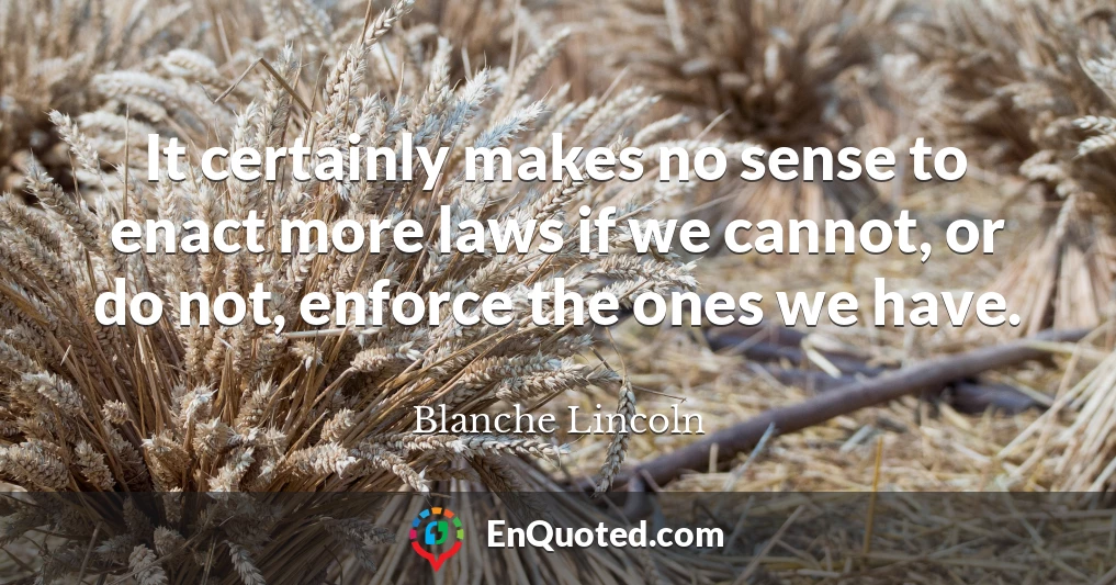 It certainly makes no sense to enact more laws if we cannot, or do not, enforce the ones we have.