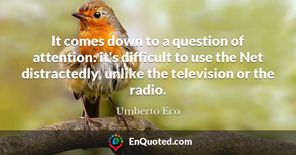 It comes down to a question of attention: it's difficult to use the Net distractedly, unlike the television or the radio.