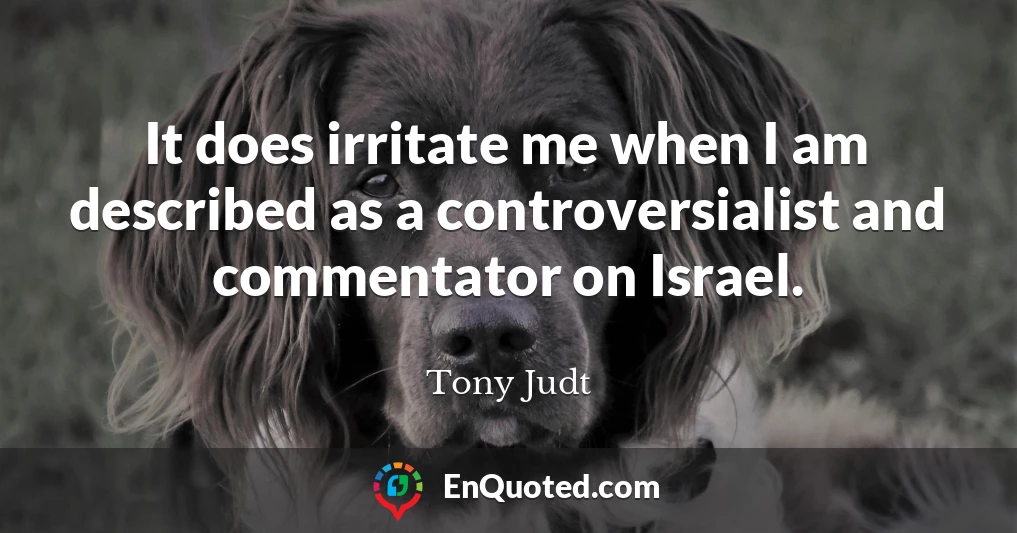 It does irritate me when I am described as a controversialist and commentator on Israel.