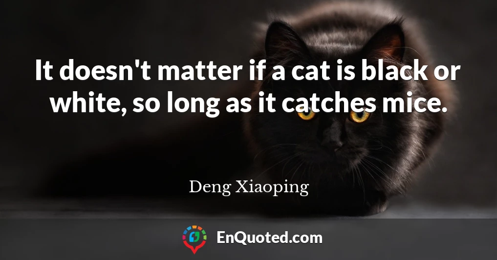 It doesn't matter if a cat is black or white, so long as it catches mice.