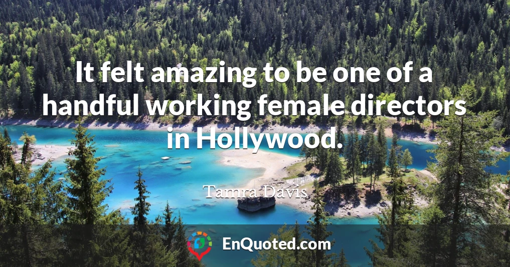 It felt amazing to be one of a handful working female directors in Hollywood.