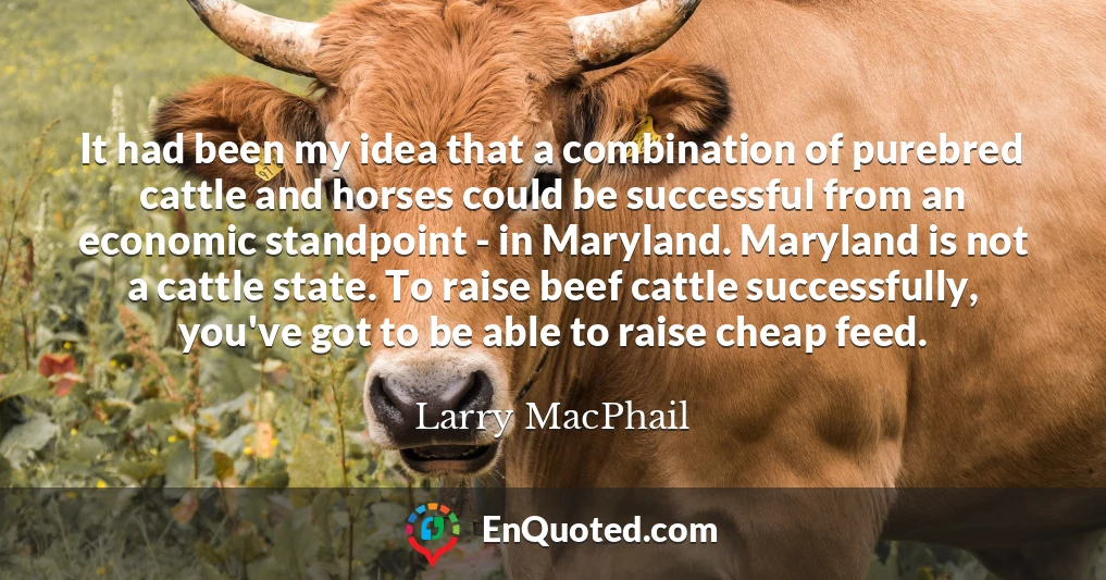 It had been my idea that a combination of purebred cattle and horses could be successful from an economic standpoint - in Maryland. Maryland is not a cattle state. To raise beef cattle successfully, you've got to be able to raise cheap feed.