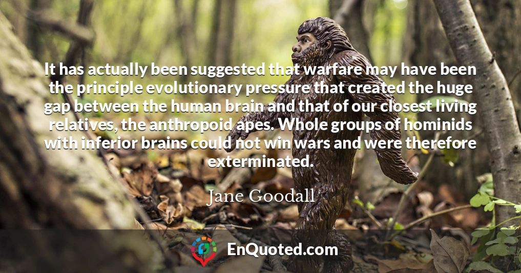 It has actually been suggested that warfare may have been the principle evolutionary pressure that created the huge gap between the human brain and that of our closest living relatives, the anthropoid apes. Whole groups of hominids with inferior brains could not win wars and were therefore exterminated.