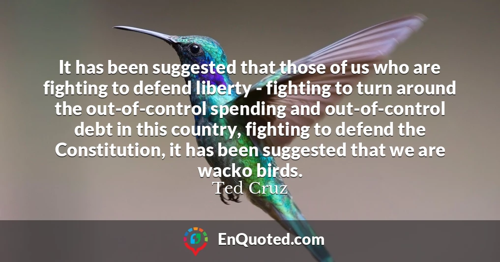It has been suggested that those of us who are fighting to defend liberty - fighting to turn around the out-of-control spending and out-of-control debt in this country, fighting to defend the Constitution, it has been suggested that we are wacko birds.