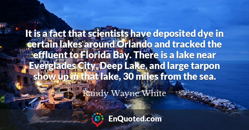 It is a fact that scientists have deposited dye in certain lakes around Orlando and tracked the effluent to Florida Bay. There is a lake near Everglades City, Deep Lake, and large tarpon show up in that lake, 30 miles from the sea.