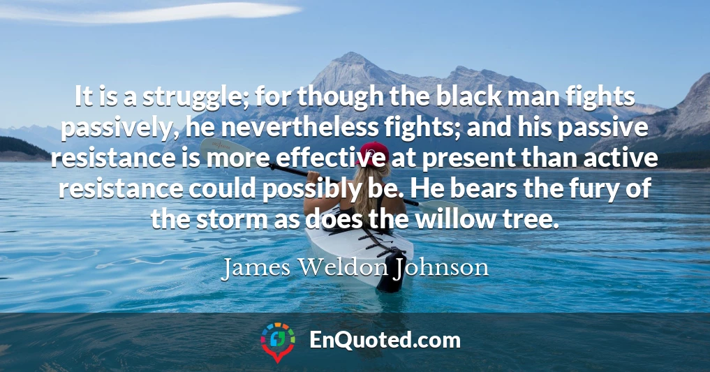 It is a struggle; for though the black man fights passively, he nevertheless fights; and his passive resistance is more effective at present than active resistance could possibly be. He bears the fury of the storm as does the willow tree.