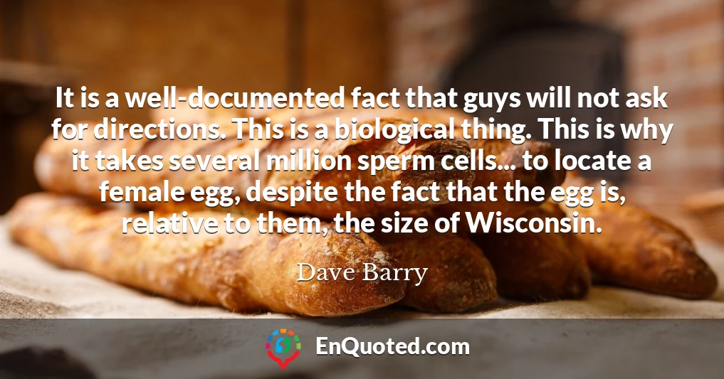 It is a well-documented fact that guys will not ask for directions. This is a biological thing. This is why it takes several million sperm cells... to locate a female egg, despite the fact that the egg is, relative to them, the size of Wisconsin.