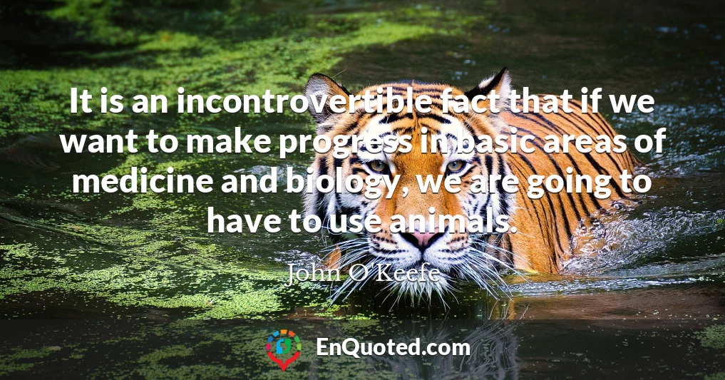 It is an incontrovertible fact that if we want to make progress in basic areas of medicine and biology, we are going to have to use animals.