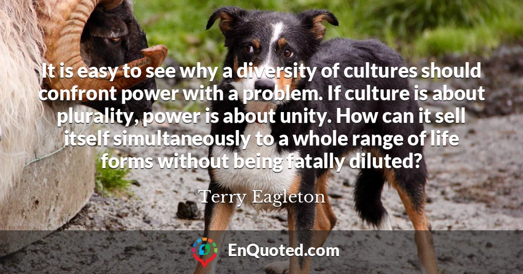 It is easy to see why a diversity of cultures should confront power with a problem. If culture is about plurality, power is about unity. How can it sell itself simultaneously to a whole range of life forms without being fatally diluted?