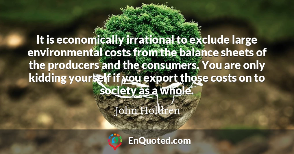 It is economically irrational to exclude large environmental costs from the balance sheets of the producers and the consumers. You are only kidding yourself if you export those costs on to society as a whole.