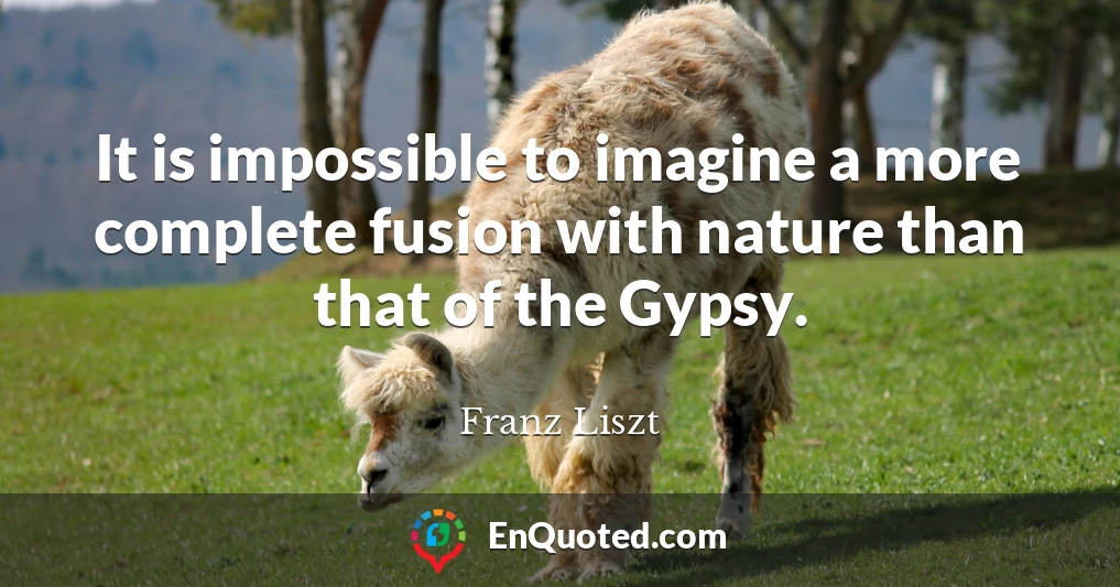 It is impossible to imagine a more complete fusion with nature than that of the Gypsy.