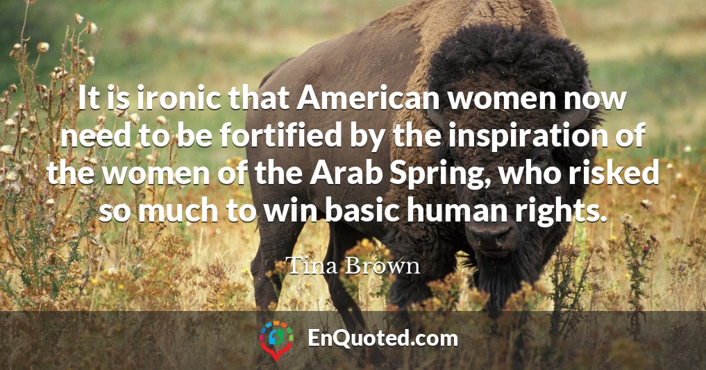 It is ironic that American women now need to be fortified by the inspiration of the women of the Arab Spring, who risked so much to win basic human rights.