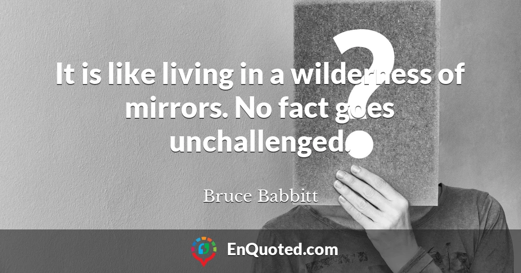 It is like living in a wilderness of mirrors. No fact goes unchallenged.