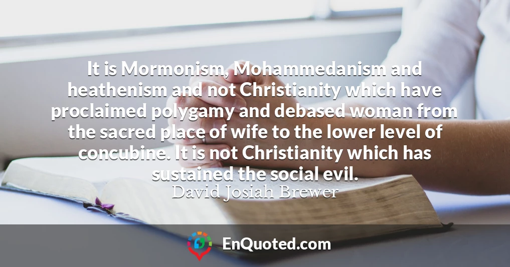 It is Mormonism, Mohammedanism and heathenism and not Christianity which have proclaimed polygamy and debased woman from the sacred place of wife to the lower level of concubine. It is not Christianity which has sustained the social evil.