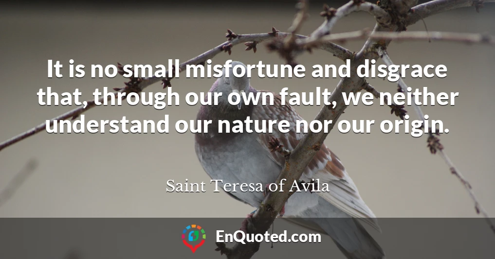 It is no small misfortune and disgrace that, through our own fault, we neither understand our nature nor our origin.