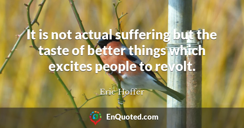 It is not actual suffering but the taste of better things which excites people to revolt.