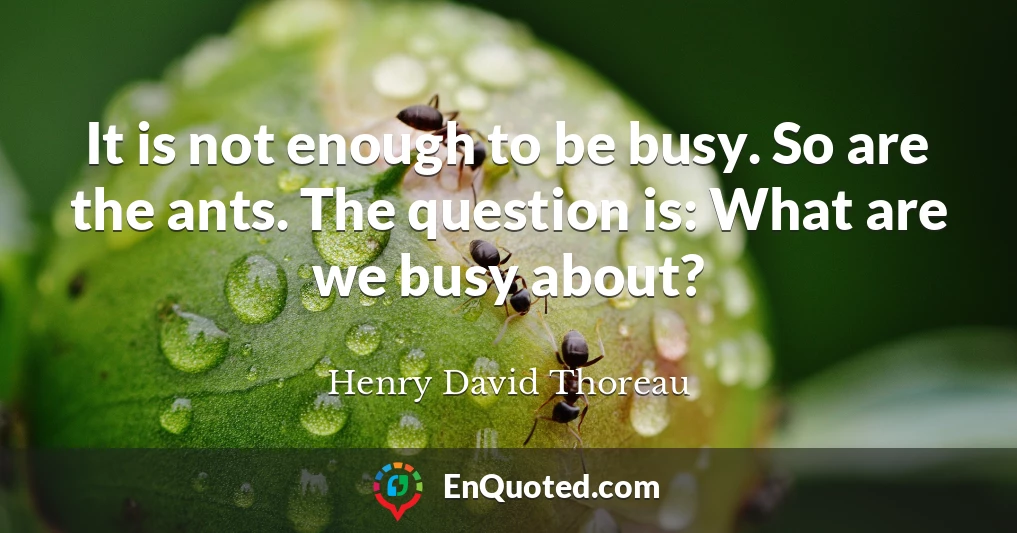 It is not enough to be busy. So are the ants. The question is: What are we busy about?