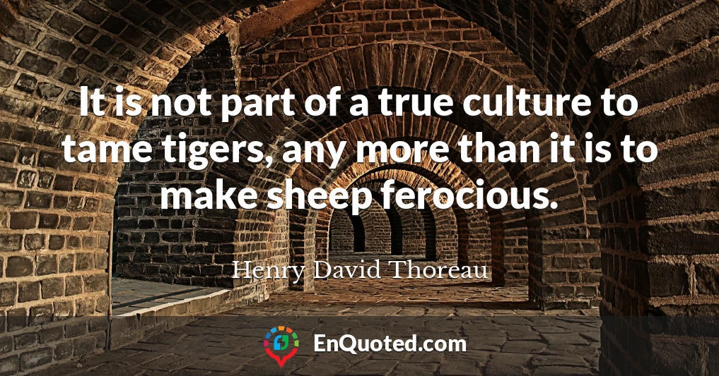 It is not part of a true culture to tame tigers, any more than it is to make sheep ferocious.