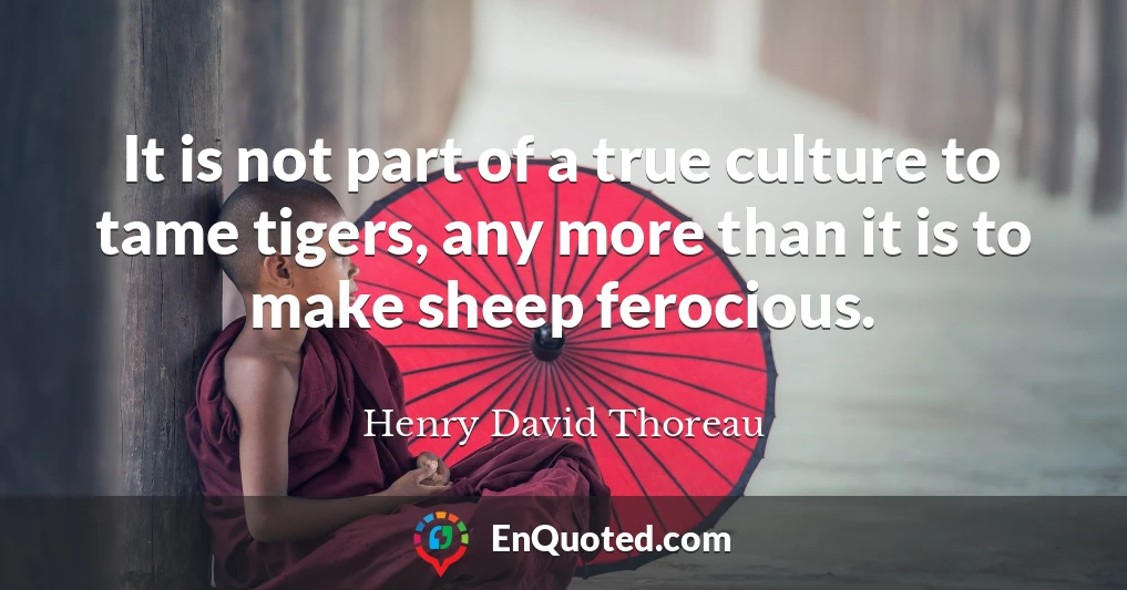 It is not part of a true culture to tame tigers, any more than it is to make sheep ferocious.