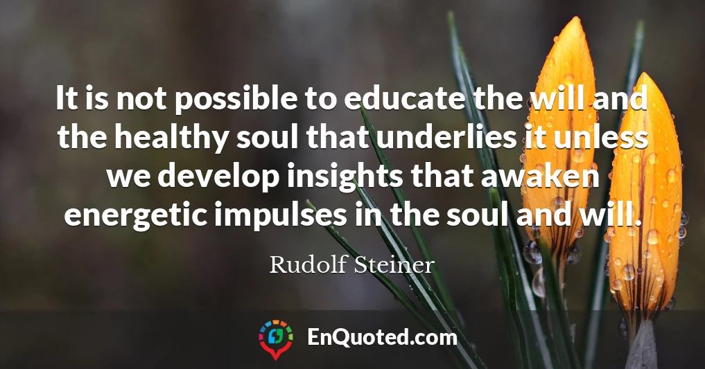 It is not possible to educate the will and the healthy soul that underlies it unless we develop insights that awaken energetic impulses in the soul and will.