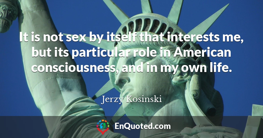 It is not sex by itself that interests me, but its particular role in American consciousness, and in my own life.