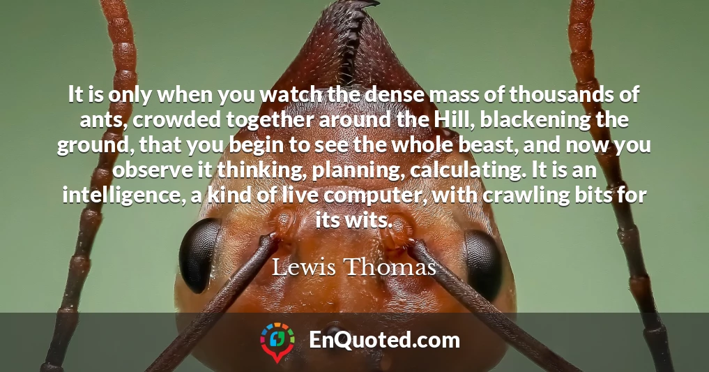 It is only when you watch the dense mass of thousands of ants, crowded together around the Hill, blackening the ground, that you begin to see the whole beast, and now you observe it thinking, planning, calculating. It is an intelligence, a kind of live computer, with crawling bits for its wits.