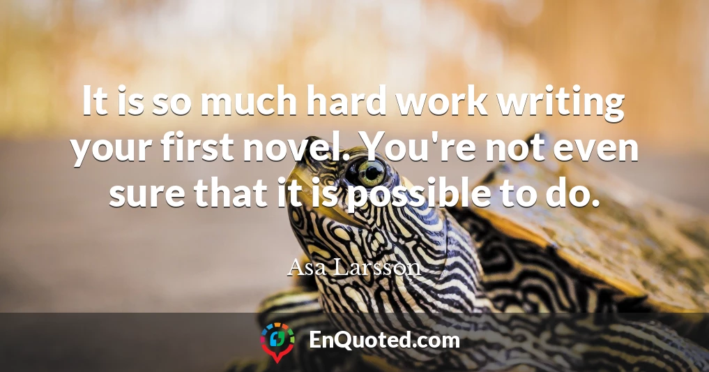 It is so much hard work writing your first novel. You're not even sure that it is possible to do.