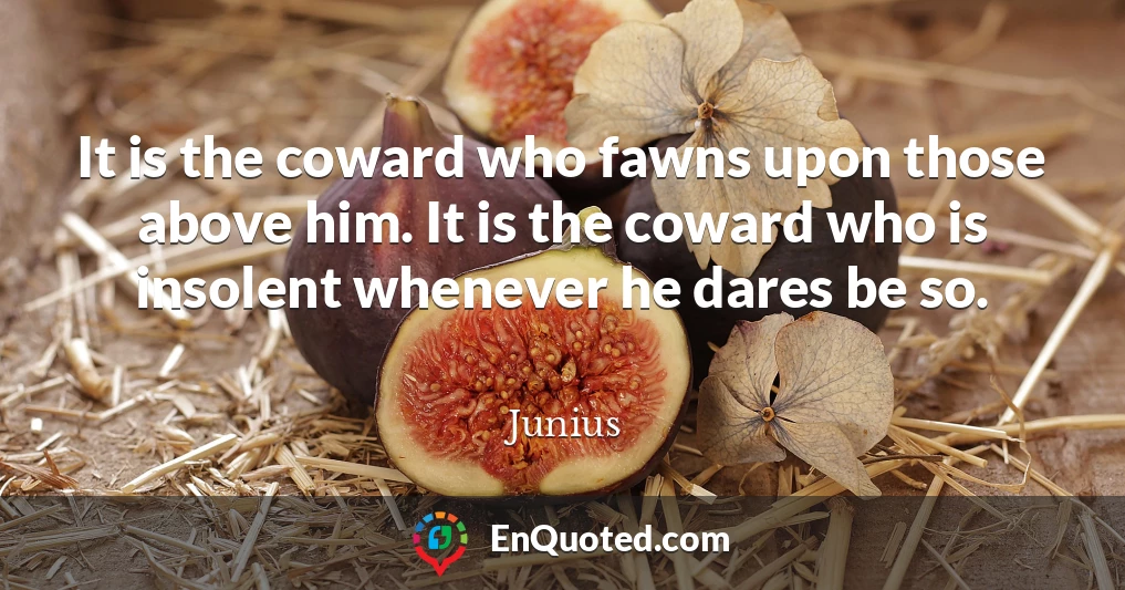 It is the coward who fawns upon those above him. It is the coward who is insolent whenever he dares be so.