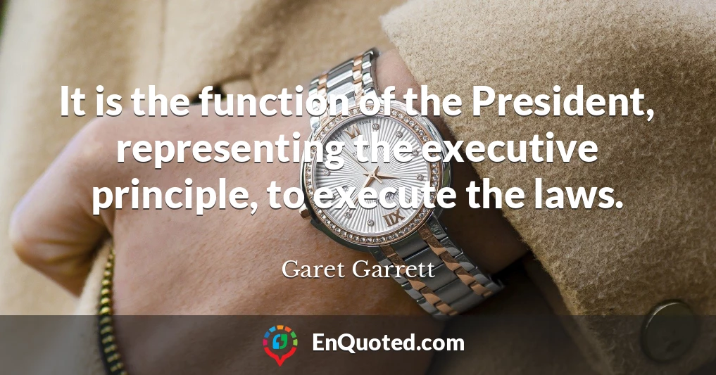 It is the function of the President, representing the executive principle, to execute the laws.