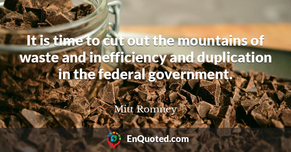 It is time to cut out the mountains of waste and inefficiency and duplication in the federal government.