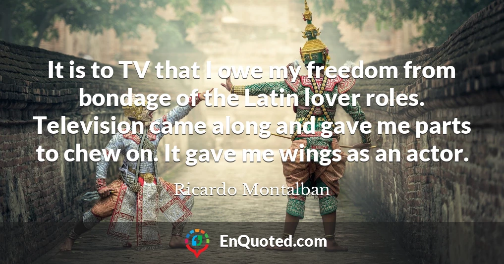 It is to TV that I owe my freedom from bondage of the Latin lover roles. Television came along and gave me parts to chew on. It gave me wings as an actor.