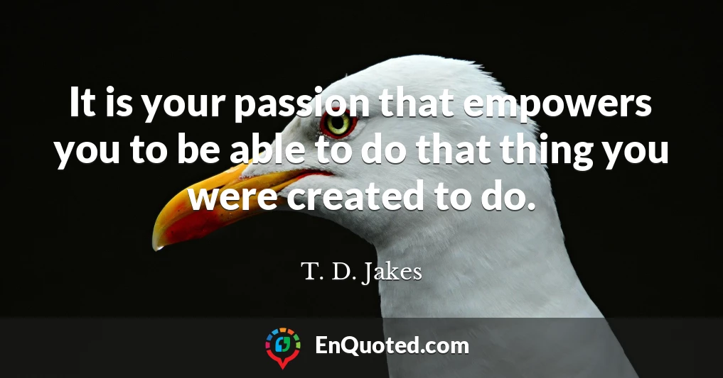 It is your passion that empowers you to be able to do that thing you were created to do.