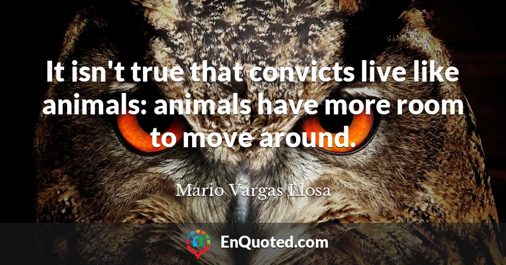 It isn't true that convicts live like animals: animals have more room to move around.