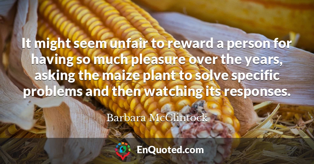 It might seem unfair to reward a person for having so much pleasure over the years, asking the maize plant to solve specific problems and then watching its responses.