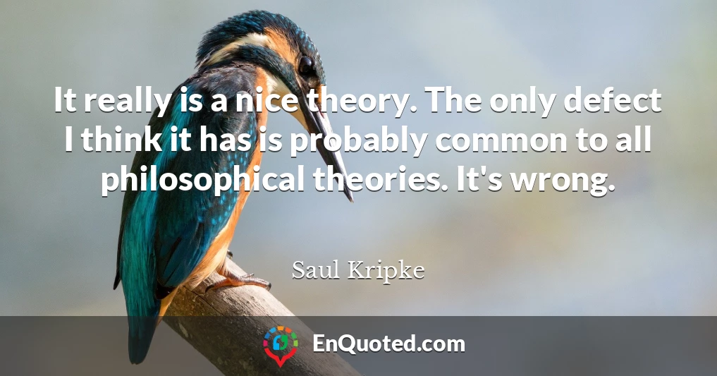 It really is a nice theory. The only defect I think it has is probably common to all philosophical theories. It's wrong.