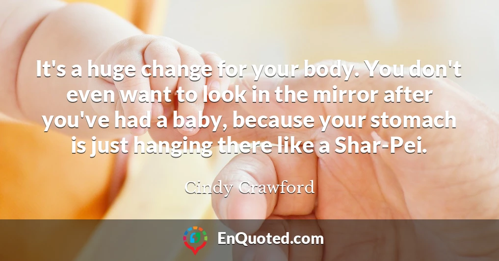 It's a huge change for your body. You don't even want to look in the mirror after you've had a baby, because your stomach is just hanging there like a Shar-Pei.