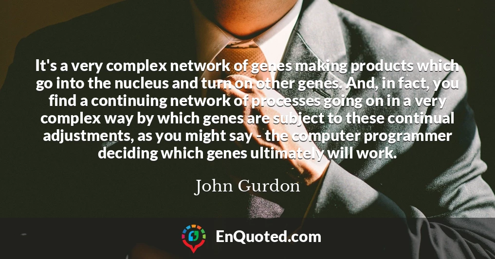 It's a very complex network of genes making products which go into the nucleus and turn on other genes. And, in fact, you find a continuing network of processes going on in a very complex way by which genes are subject to these continual adjustments, as you might say - the computer programmer deciding which genes ultimately will work.