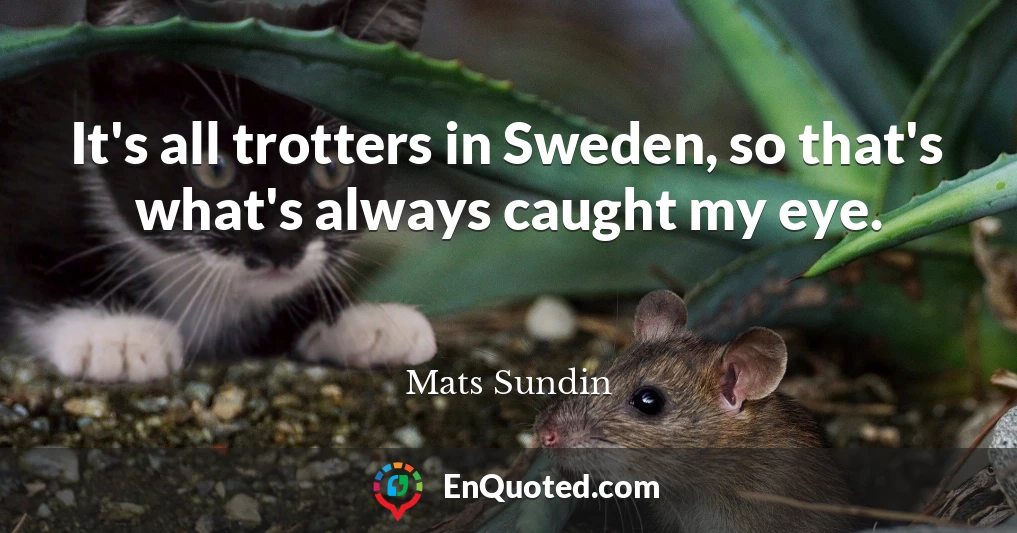 It's all trotters in Sweden, so that's what's always caught my eye.
