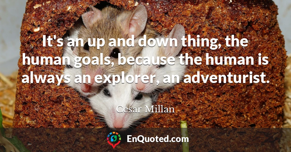 It's an up and down thing, the human goals, because the human is always an explorer, an adventurist.