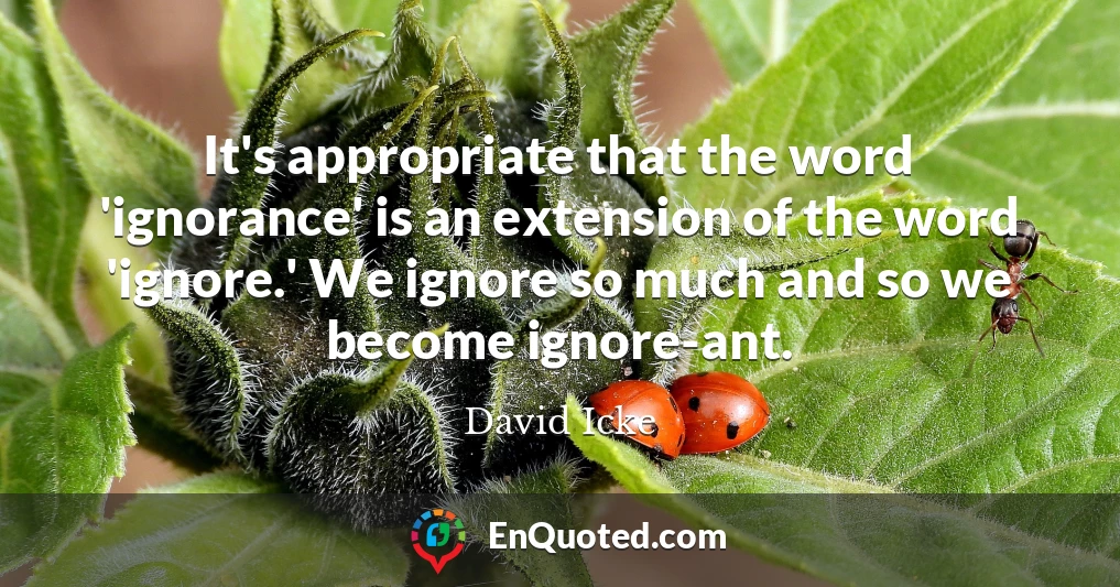 It's appropriate that the word 'ignorance' is an extension of the word 'ignore.' We ignore so much and so we become ignore-ant.